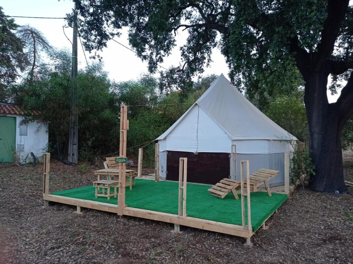 Campo de lujo Glamping