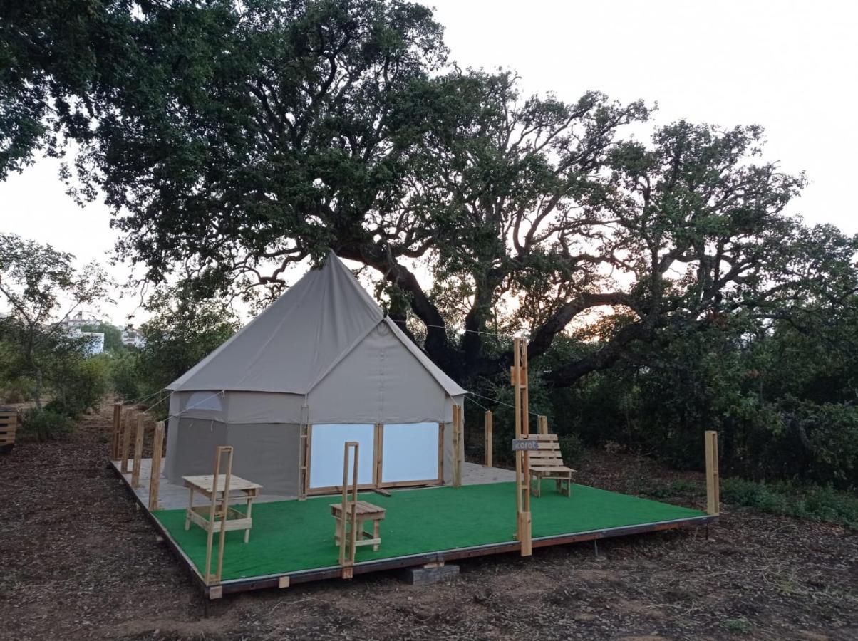 Glamping Campo de lujo